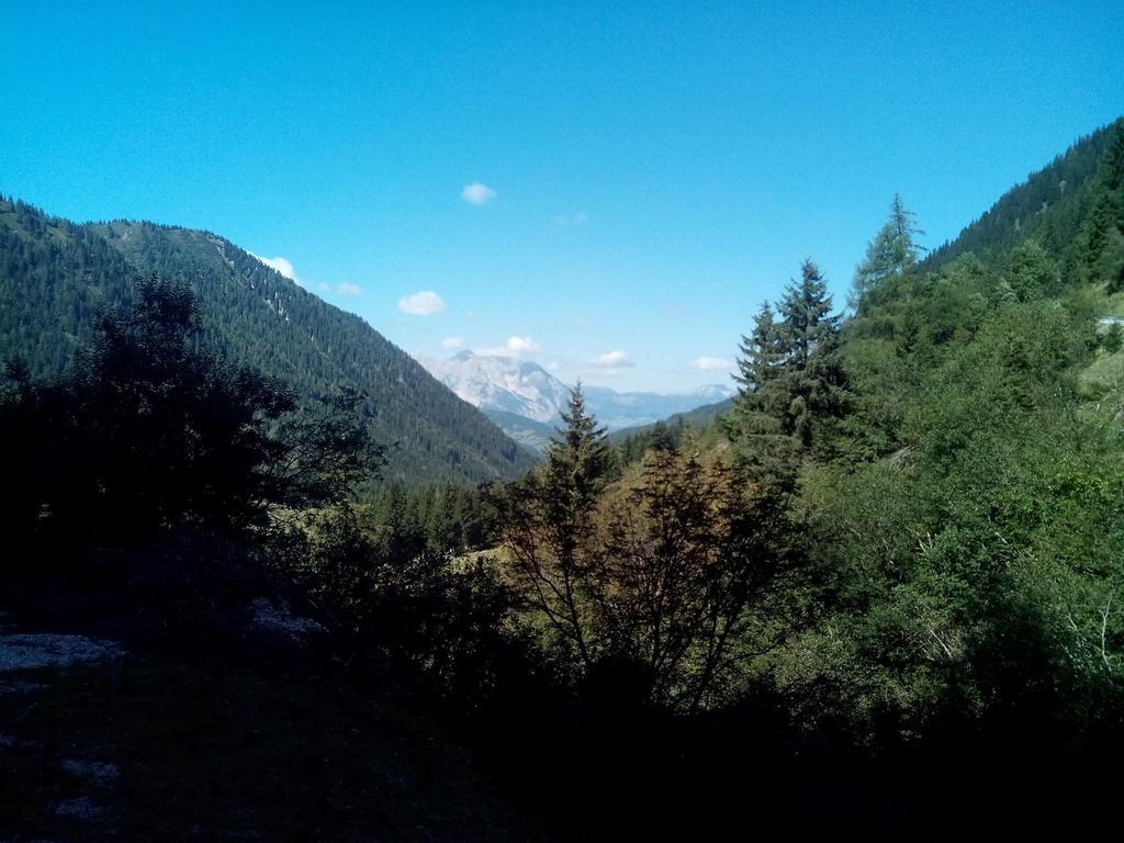 Gasthof Murauerhof Hotell Sankt Peter am Kammersberg Eksteriør bilde
